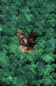 Cat digital art