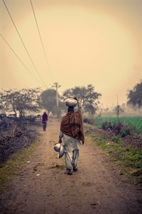 Milk man Going to milk the cow