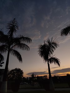 A beautiful evening with the bliss of moon