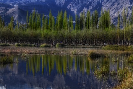 Katpana Lake 