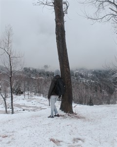 Snow Covered land